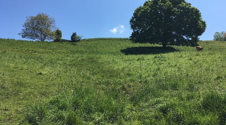 Cantabria - Las Presillas - 10749m2
