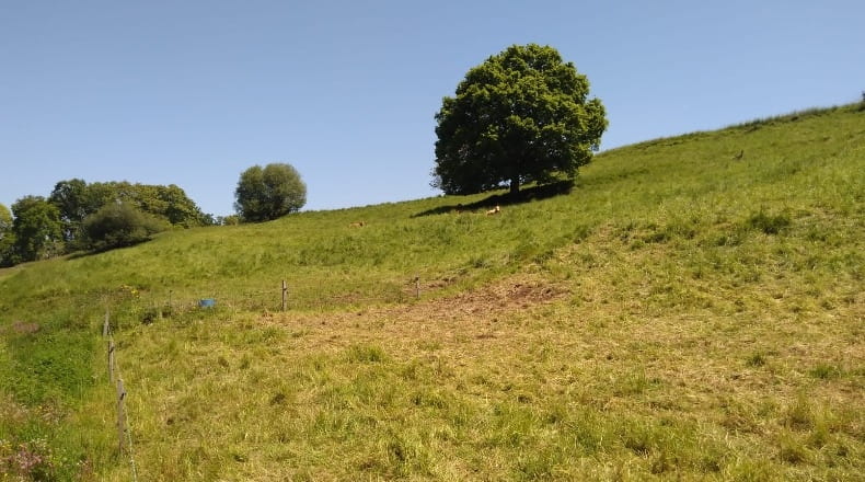 Cantabria - Las Presillas - 10749m2