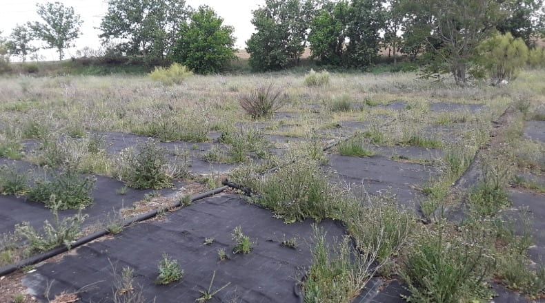 Comunidad de Madrid - Moraleja de Enmedio - 44320m2