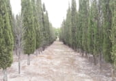 Casa de campo con terreno en venta en la Calle Batres, Moraleja de Enmedio, ref: TR111208 foto