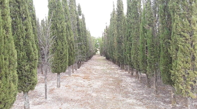 Comunidad de Madrid - Moraleja de Enmedio - 44320m2