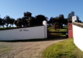 Finca rústica en venda a la Carretera de Villarta-Pozoblanco s/n, Pozoblanco, ref.: TR111209 foto