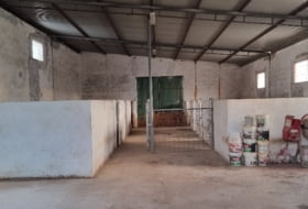 Foto 8