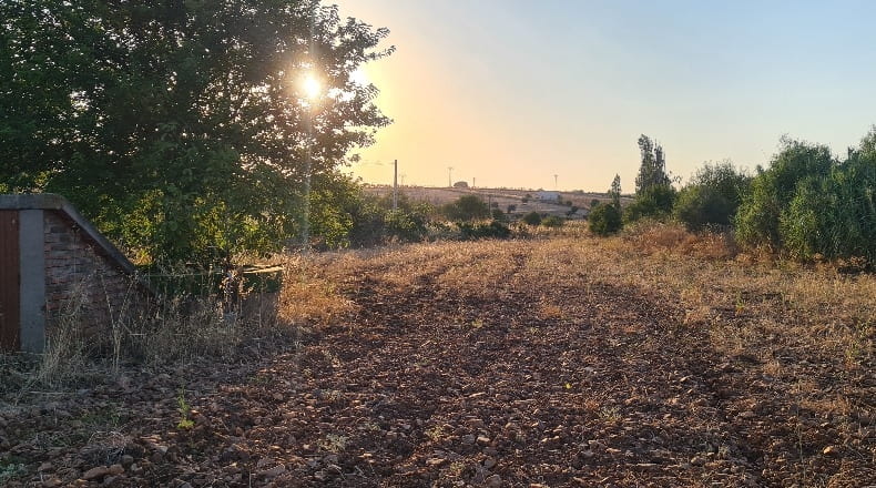 Toledo - Los Navalmorales - 7000m2