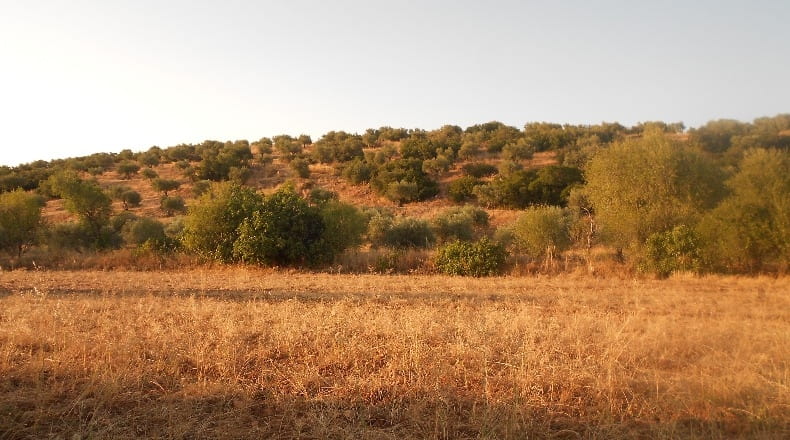 Toledo - Los Navalmorales - 7000m2