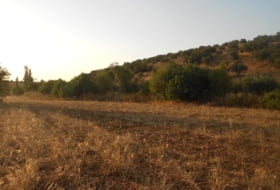 Los Navalmorales 3750&nbsp;м²