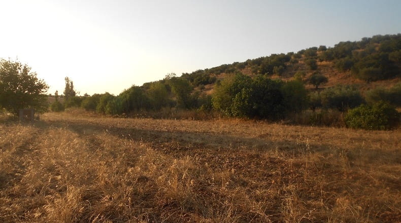 Toledo - Los Navalmorales - 7000m2