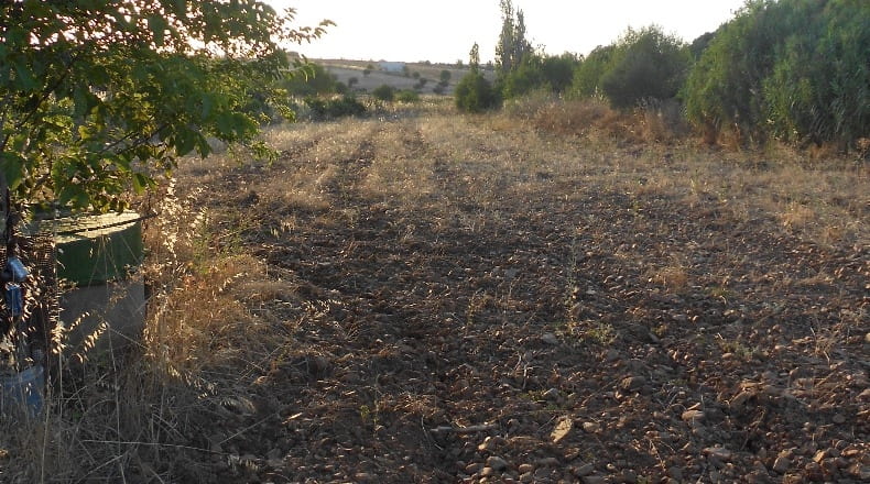 Toledo - Los Navalmorales - 7000m2