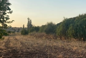 Los Navalmorales 3750&nbsp;м²