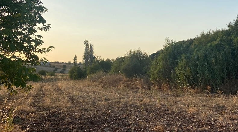 Toledo - Los Navalmorales - 7000m2