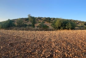 Los Navalmorales 3750&nbsp;м²