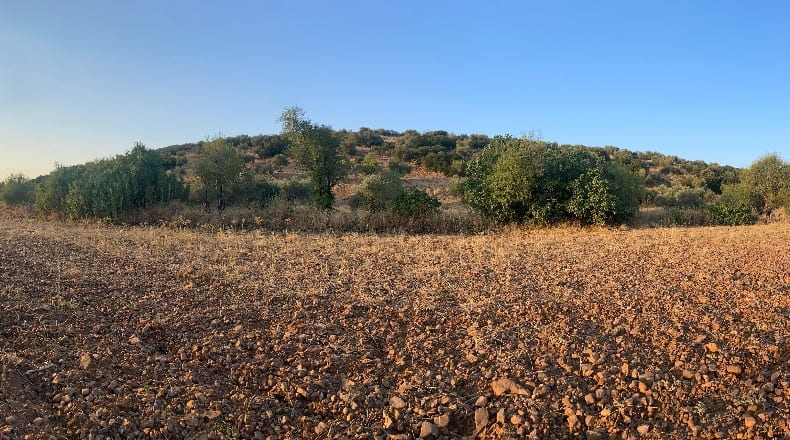 Toledo - Los Navalmorales - 7000m2