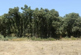 Alcocer 1180000&nbsp;м²