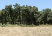 Terreno no urbanizable en venta en la Alcocer, ref: TR76625 foto