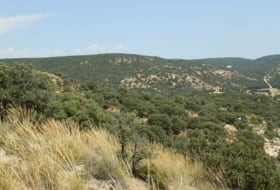 Alcocer 1180000&nbsp;м²
