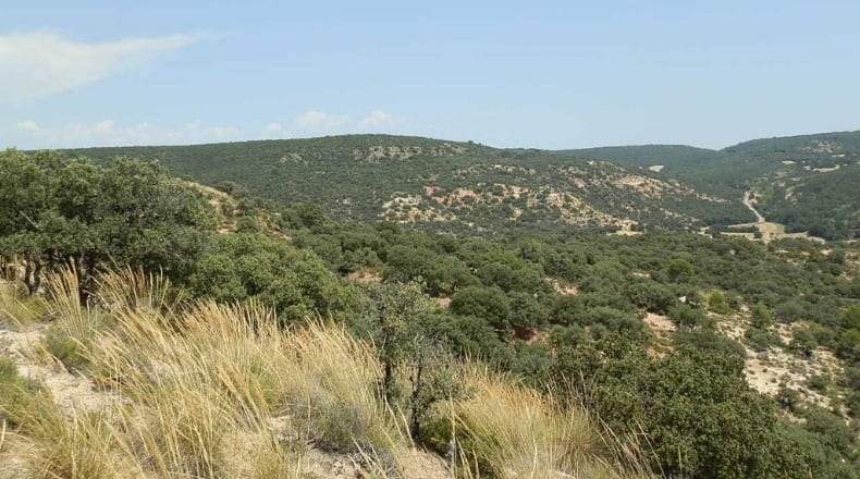 Jaén - Génave - 1840000m2