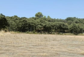 Alcocer 1180000&nbsp;м²