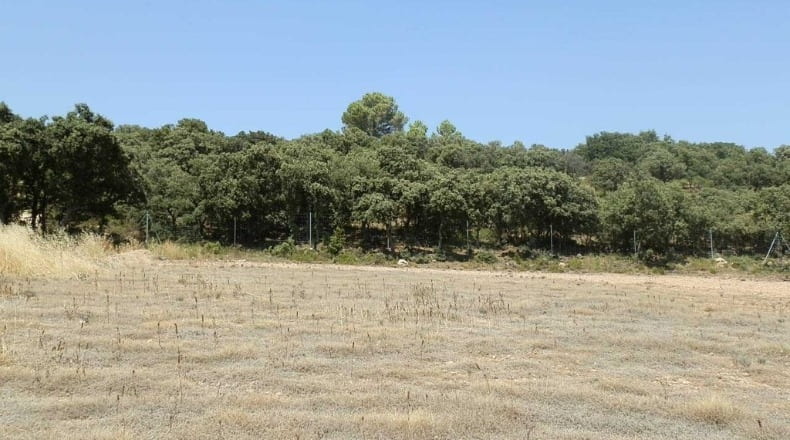 Jaén - Génave - 1840000m2