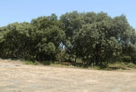 Alcocer 1180000&nbsp;м²