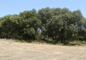 Terreno no urbanizable en venta en la Alcocer, ref: TR76625 foto