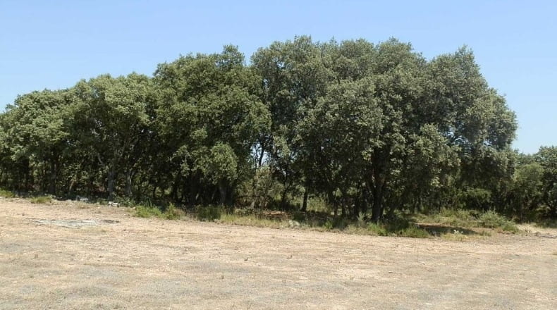 Jaén - Génave - 1840000m2