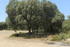 Alcocer 1180000&nbsp;м²