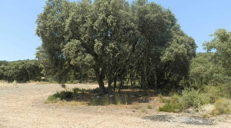 Jaén - Génave - 1840000m2