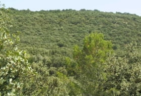 Alcocer 1180000&nbsp;м²