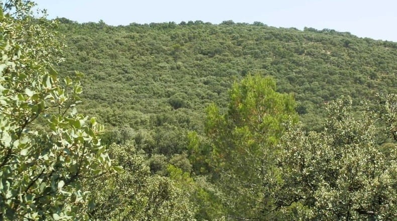 Jaén - Génave - 1840000m2
