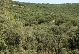 Alcocer 1180000&nbsp;м²