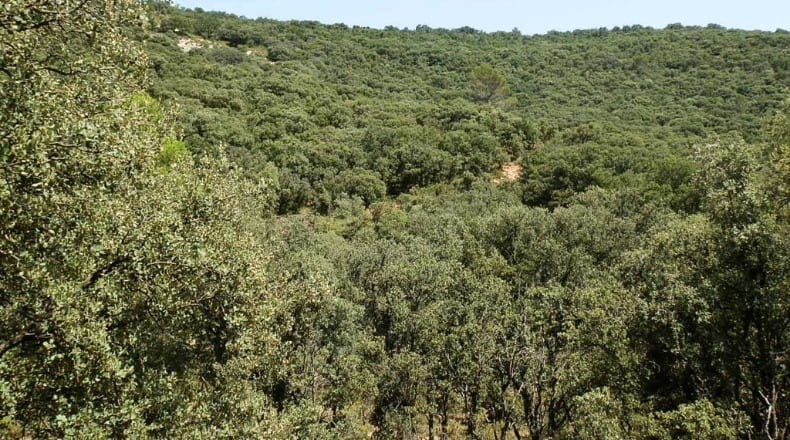 Jaén - Génave - 1840000m2