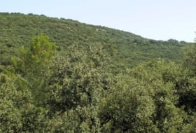 Alcocer 1180000&nbsp;м²