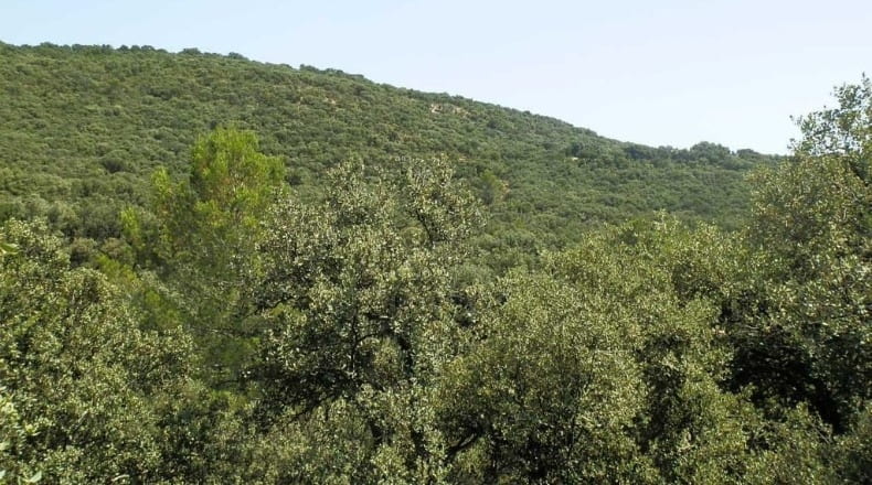 Jaén - Génave - 1840000m2