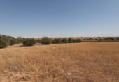 Terreno no urbanizable en venta en la Cuenca, Santa María de los Llanos, ref: TR103537 foto
