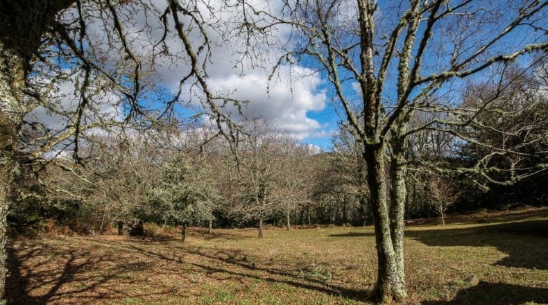 Pontevedra - A Godela - 55000m2