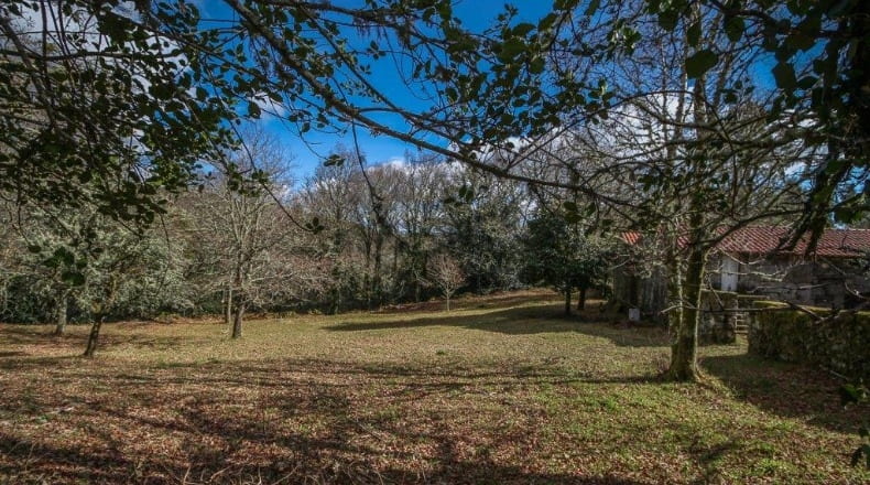 Pontevedra - A Godela - 55000m2