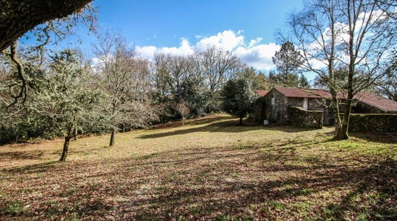 Pontevedra - A Godela - 55000m2