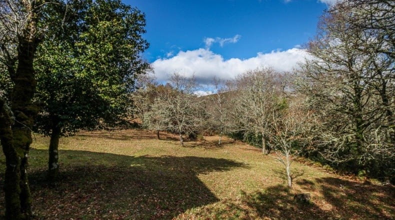 Pontevedra - A Godela - 55000m2