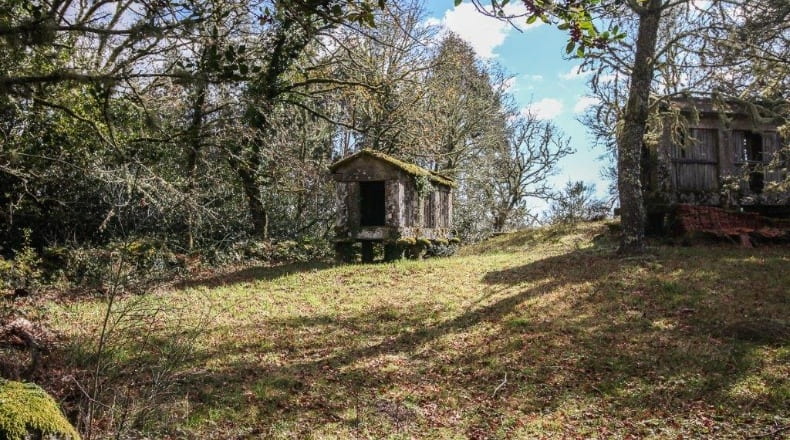 Pontevedra - A Godela - 55000m2