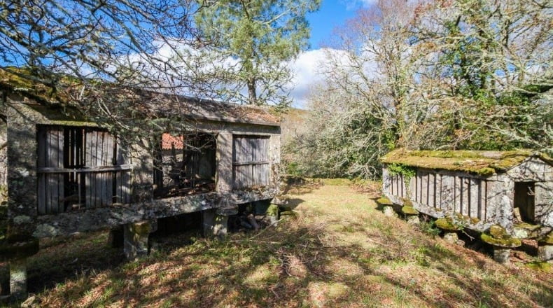 Pontevedra - A Godela - 55000m2