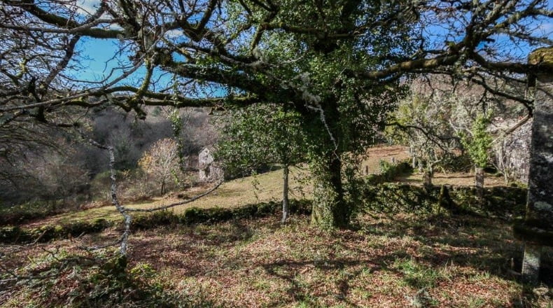 Pontevedra - A Godela - 55000m2