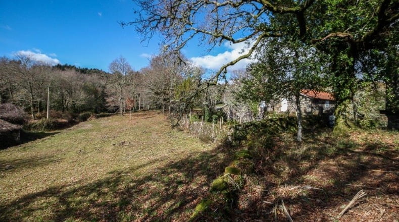 Pontevedra - A Godela - 55000m2