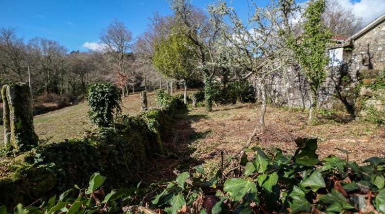 Pontevedra - A Godela - 55000m2