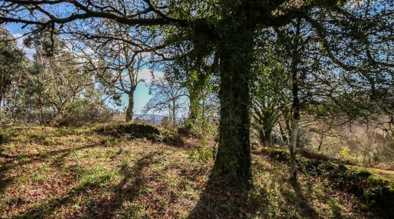 Pontevedra - A Godela - 55000m2