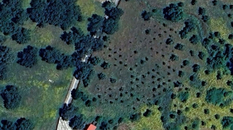 Huelva - Cumbres de Enmedio - 11000m2