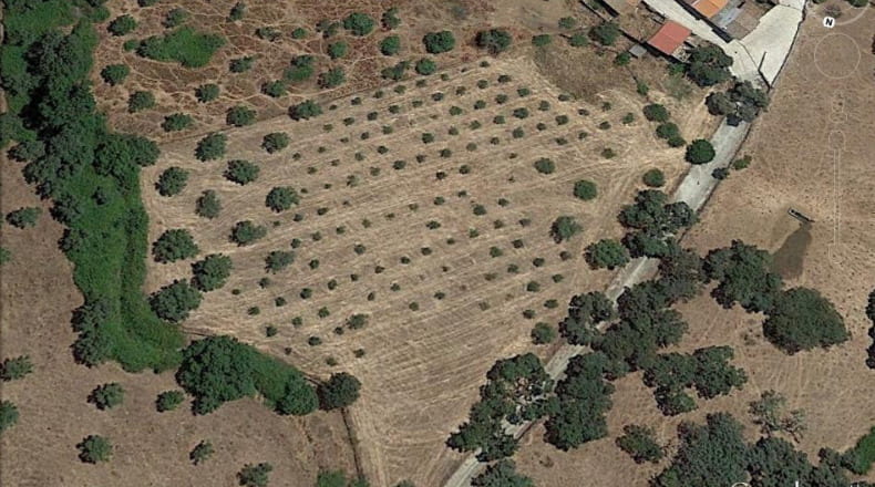 Huelva - Cumbres de Enmedio - 11000m2