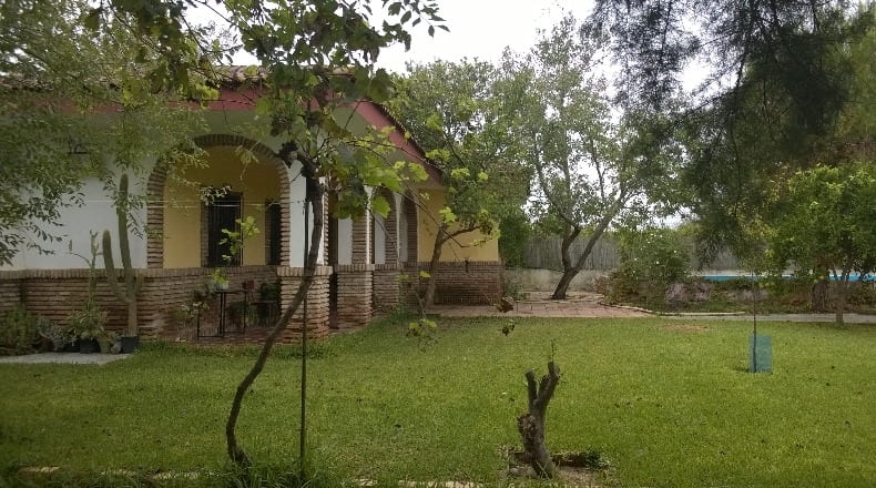 Sevilla - Los Palacios y Villafranca - 12000m2