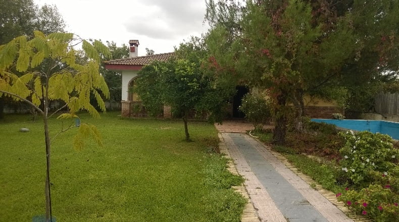Sevilla - Los Palacios y Villafranca - 12000m2