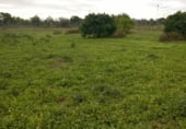 Finca rústica en venda a la la espartalera, Los Palacios y Villafranca, ref.: TR111341 foto