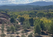 Non-developable land for sale on Parcela nº 343 del Poligono nº 3 de Arnachares, Alborache, ref: TR111343 photo
